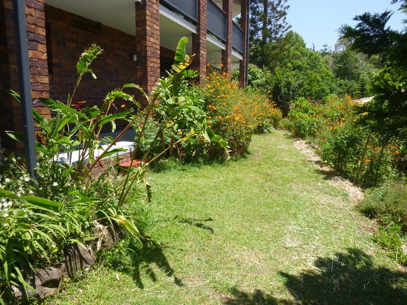 19 Wirruna Avenue, Ocean Shores NSW 2483