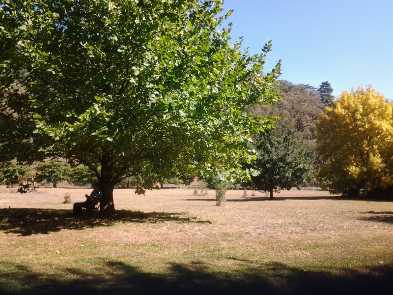 1711 Thowgla Road, Thowgla Valley VIC 3707