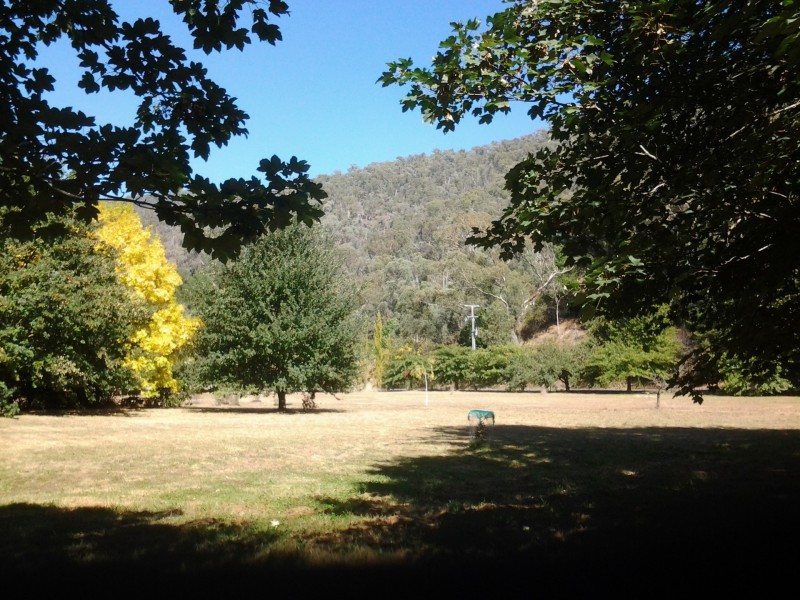 1711 Thowgla Road, Thowgla Valley VIC 3707