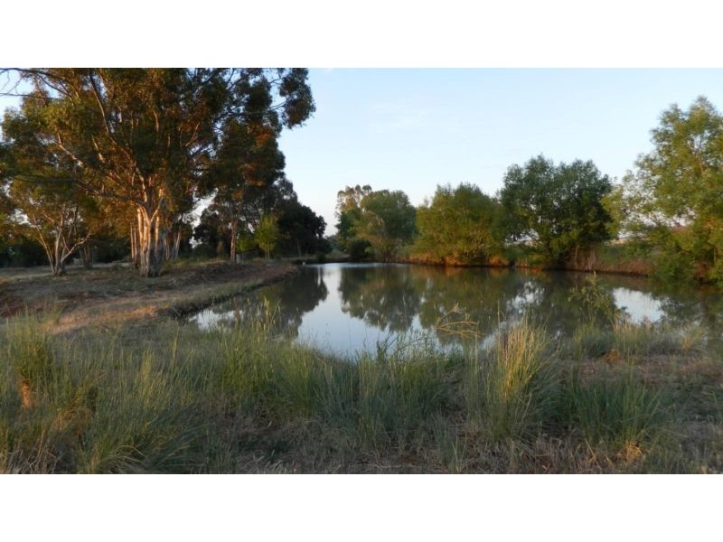 843 Yarrawalla East Road, Mologa VIC 3575