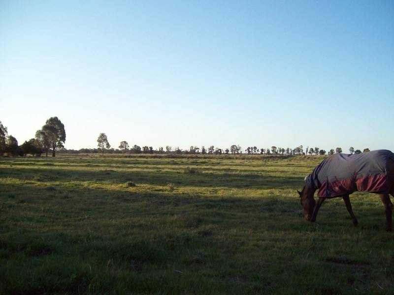 843 Yarrawalla East Road, Mologa VIC 3575