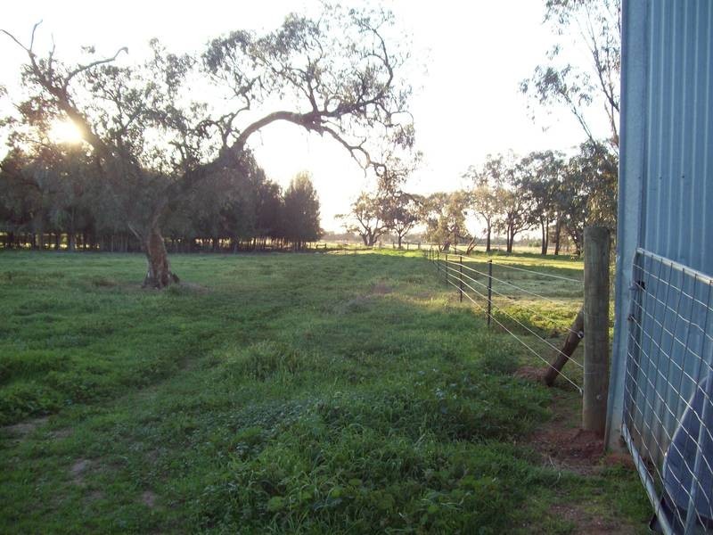 843 Yarrawalla East Road, Mologa VIC 3575