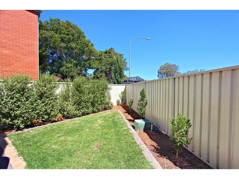 2C Trott Grove, Oaklands Park SA 5046