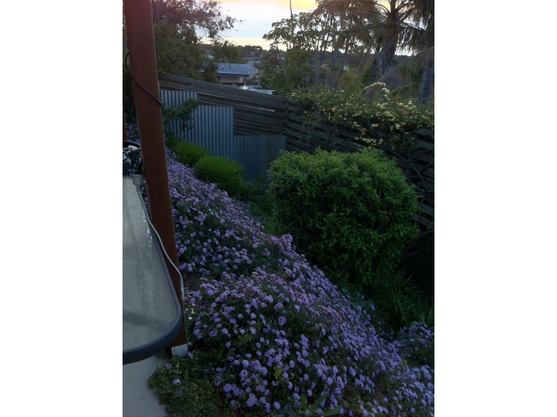 4 Whiting Street, Seacombe Heights SA 5047