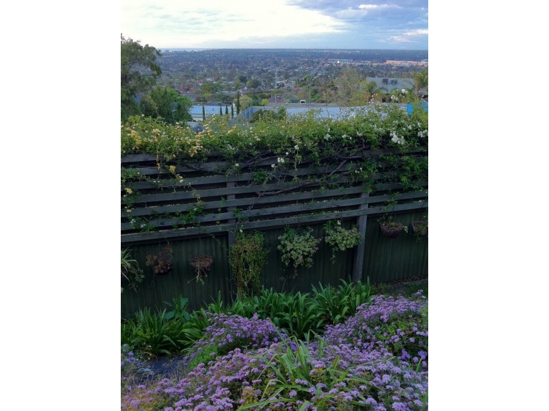 4 Whiting Street, Seacombe Heights SA 5047
