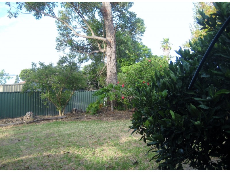 11 Manolas Way, Girrawheen WA 6064