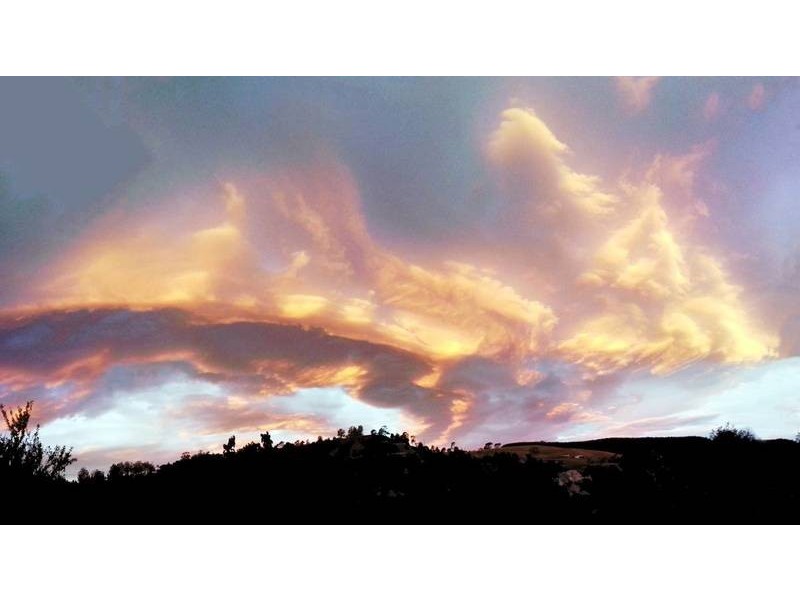 64 Main Street, Derby TAS 7264