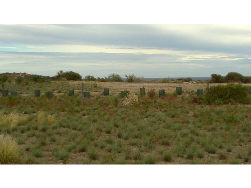 35 African Reef Boulevard, Greenough WA 6532