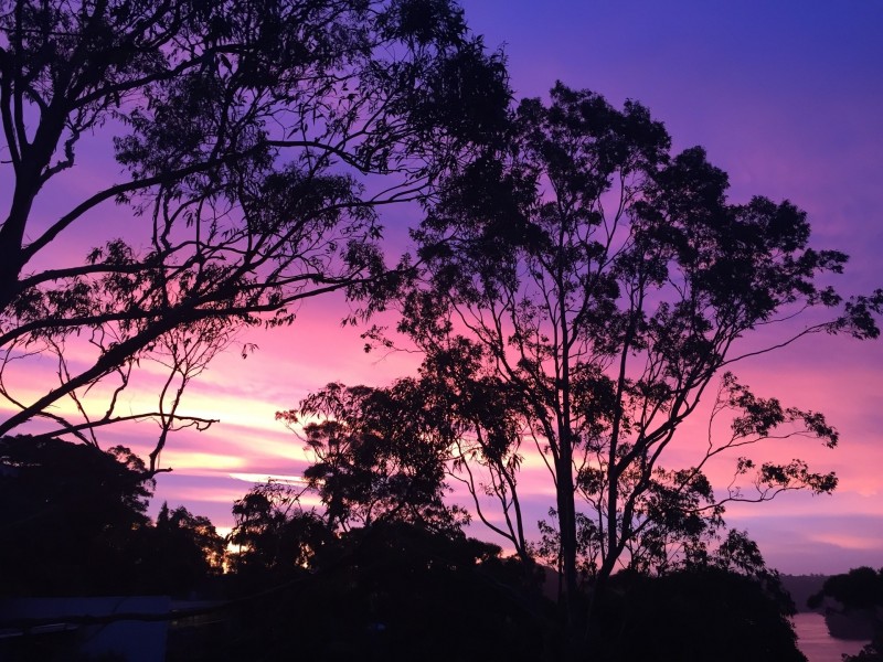 74 Castle Circuit, Seaforth NSW 2092