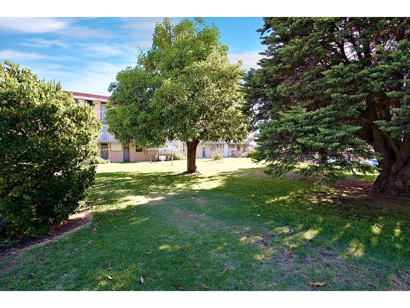 19 Raymond Street, Yokine WA 6060