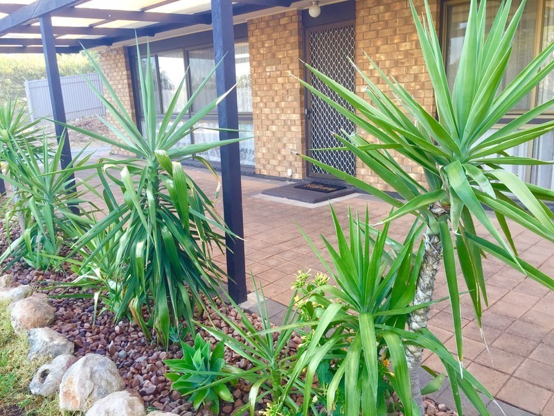 597 Brodie Road, Huntfield Heights SA 5163