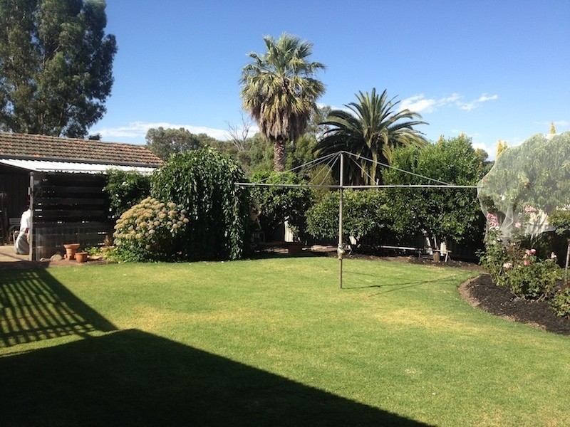 10 Lewis Street, Narrogin WA 6312