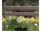 645 Thomson Road, Hazelwood South VIC 3840