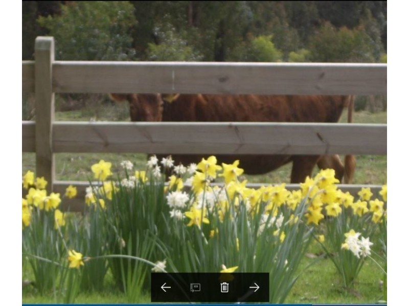 645 Thomson Road, Hazelwood South VIC 3840