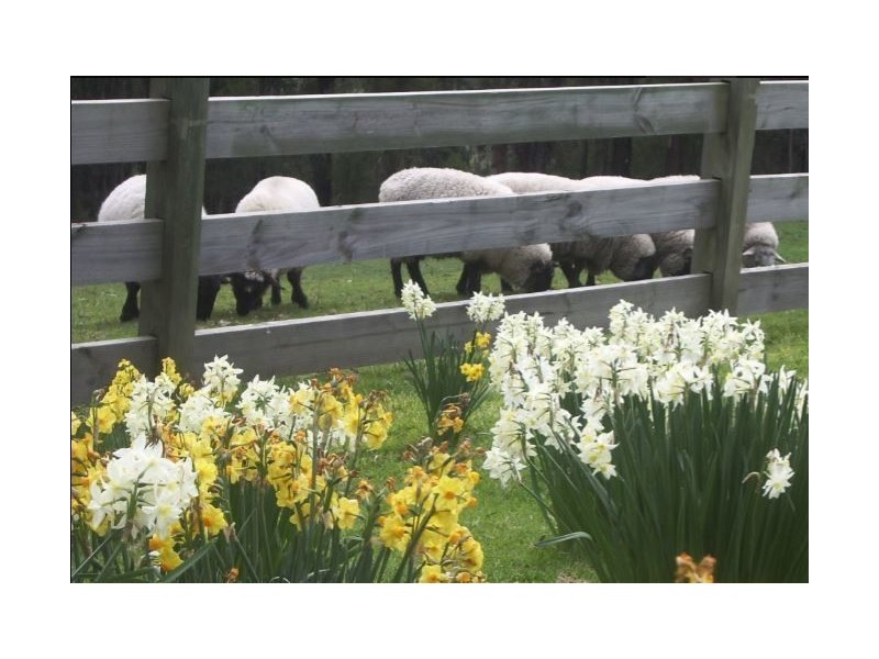 645 Thomson Road, Hazelwood South VIC 3840