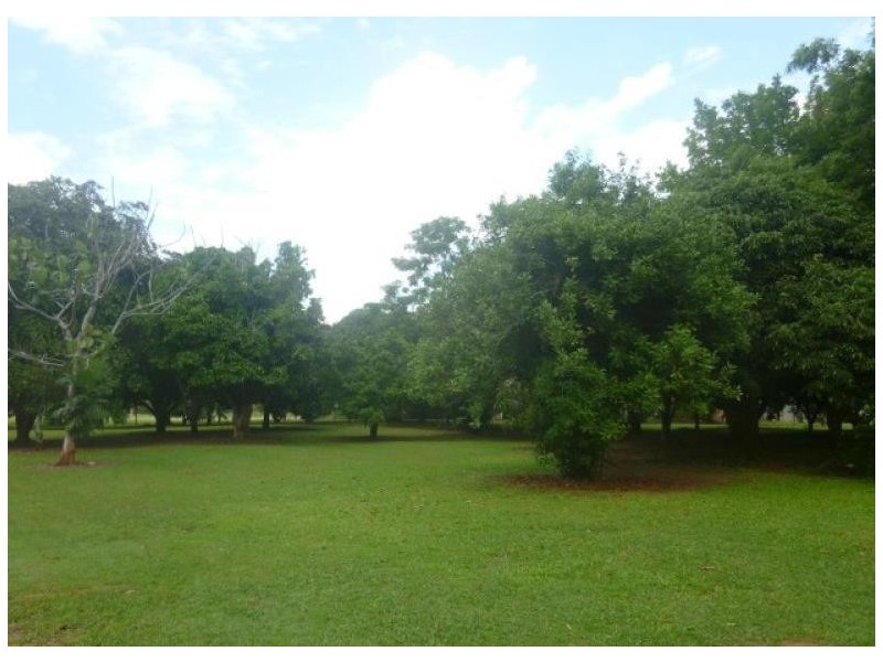 91 Railway Avenue, Cooktown QLD 4895