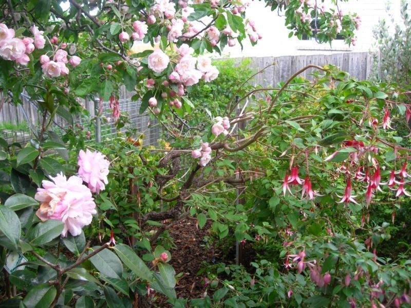 26 Maluka Street, Bellerive TAS 7018