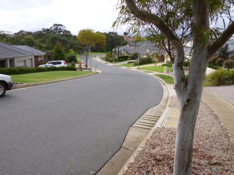 20 Coulter Street, Flagstaff Hill SA 5159