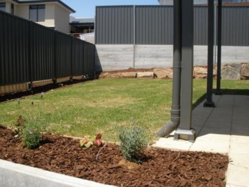 20 Coulter Street, Flagstaff Hill SA 5159