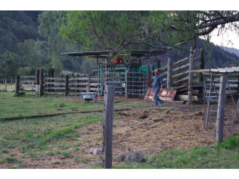 390 Stockyard Creek Road, Stockyard QLD 4344