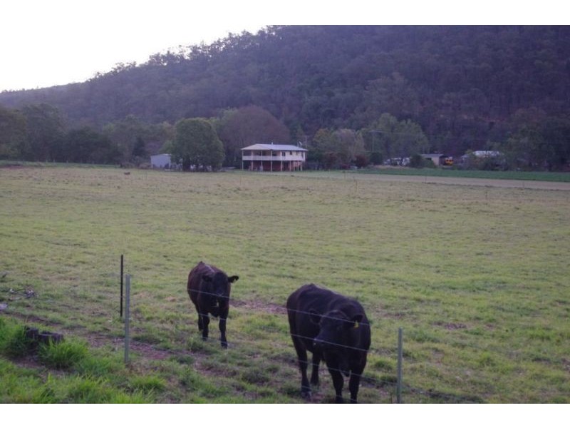390 Stockyard Creek Road, Stockyard QLD 4344