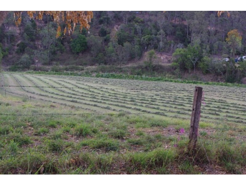 390 Stockyard Creek Road, Stockyard QLD 4344