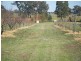 156 Glenrowan Boweya Road, Glenrowan VIC 3675