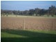 156 Glenrowan Boweya Road, Glenrowan VIC 3675