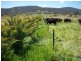 156 Glenrowan Boweya Road, Glenrowan VIC 3675