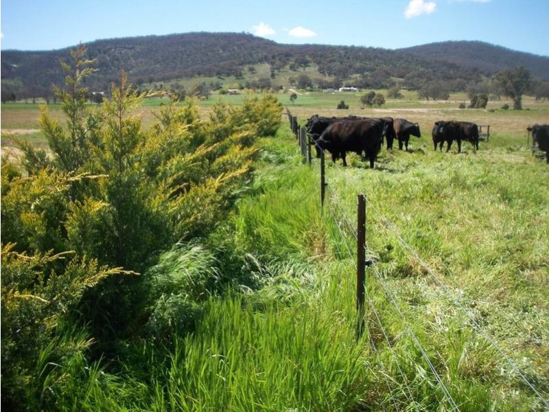 156 Glenrowan Boweya Road, Glenrowan VIC 3675
