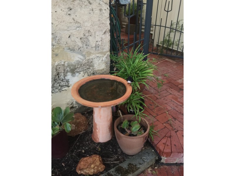 66 Guildford Road, Mount Lawley WA 6050