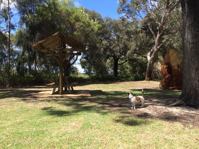 66 Guildford Road, Mount Lawley WA 6050