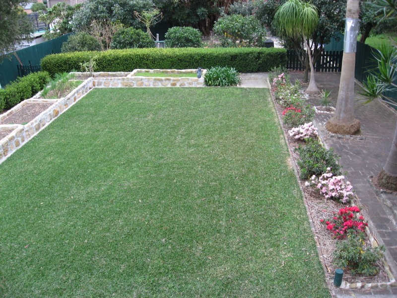 64A  Alfred Road, Brookvale NSW 2100