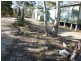 383 Dolphin Sands Road, Dolphin Sands TAS 7190