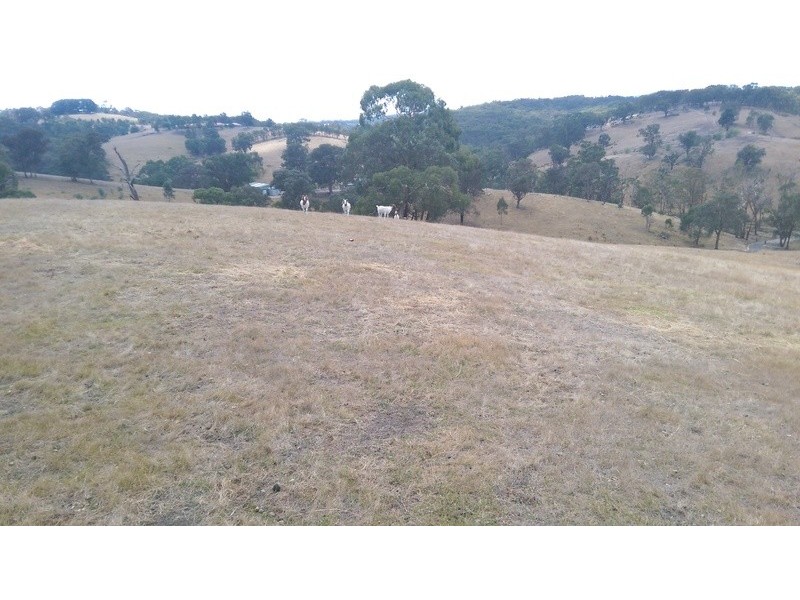 Watsons Creek VIC 3097