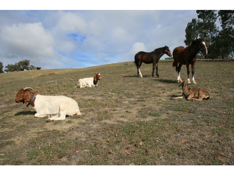 Watsons Creek VIC 3097