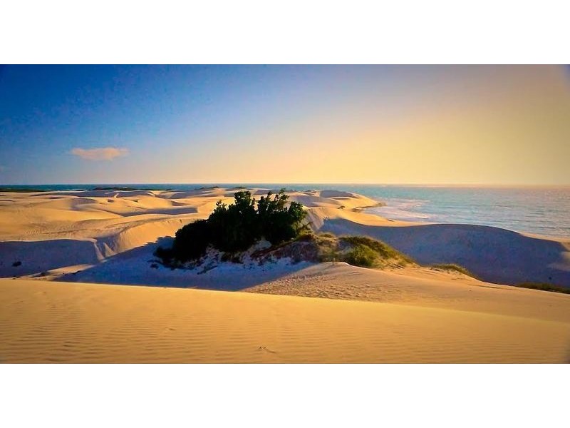 16 Eakins Crescent, Wandina WA 6530