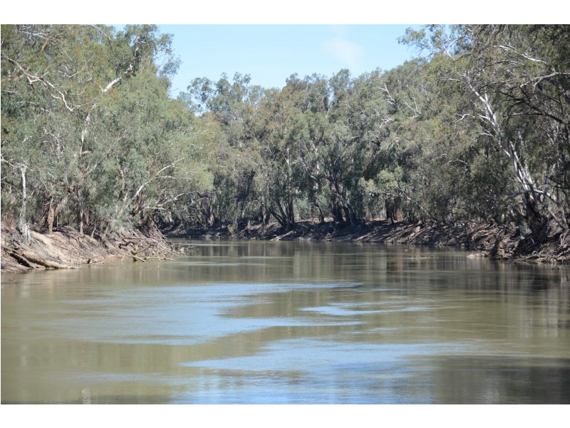 29 Hodges Road, Piangil VIC 3597