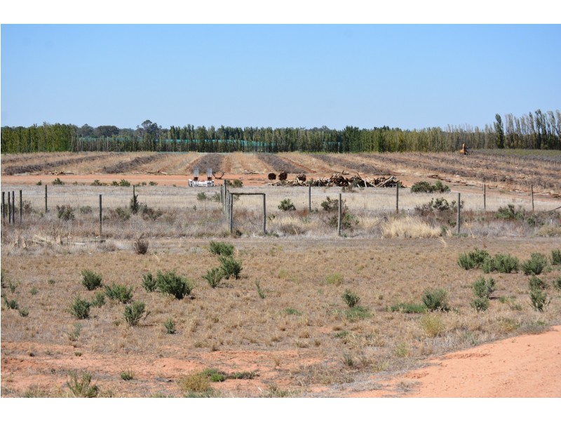 29 Hodges Road, Piangil VIC 3597