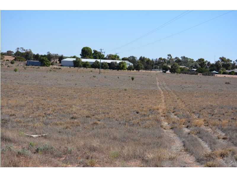 29 Hodges Road, Piangil VIC 3597