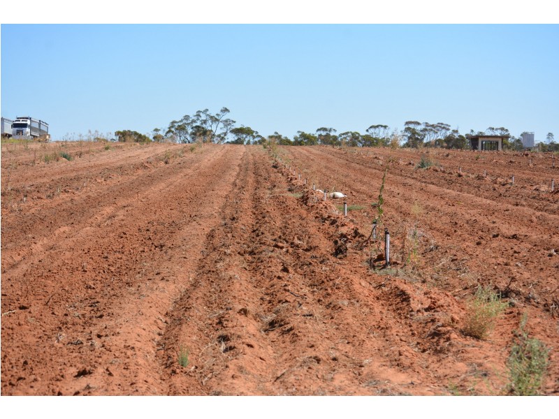 29 Hodges Road, Piangil VIC 3597