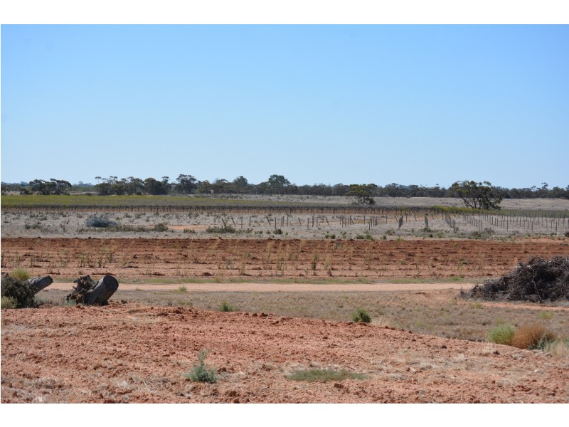 29 Hodges Road, Piangil VIC 3597