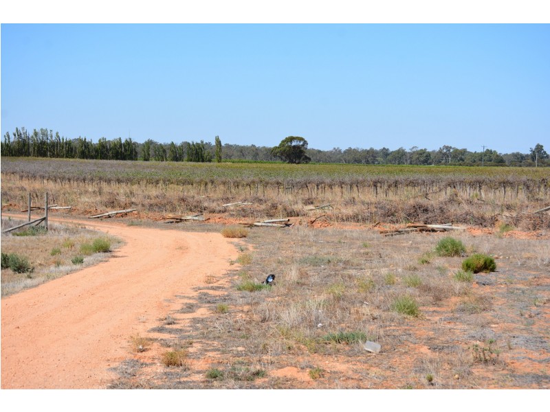 29 Hodges Road, Piangil VIC 3597