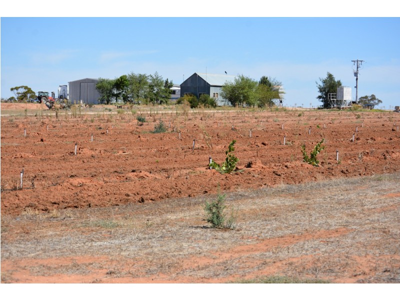 29 Hodges Road, Piangil VIC 3597