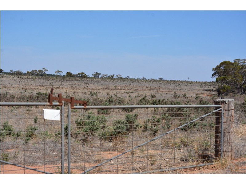 29 Hodges Road, Piangil VIC 3597