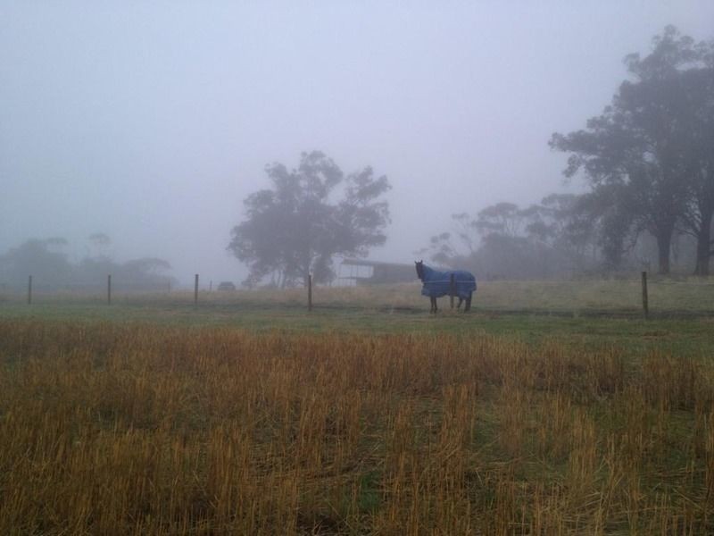 Lot 21 Noonbling Norrine Road, Wandering WA 6308