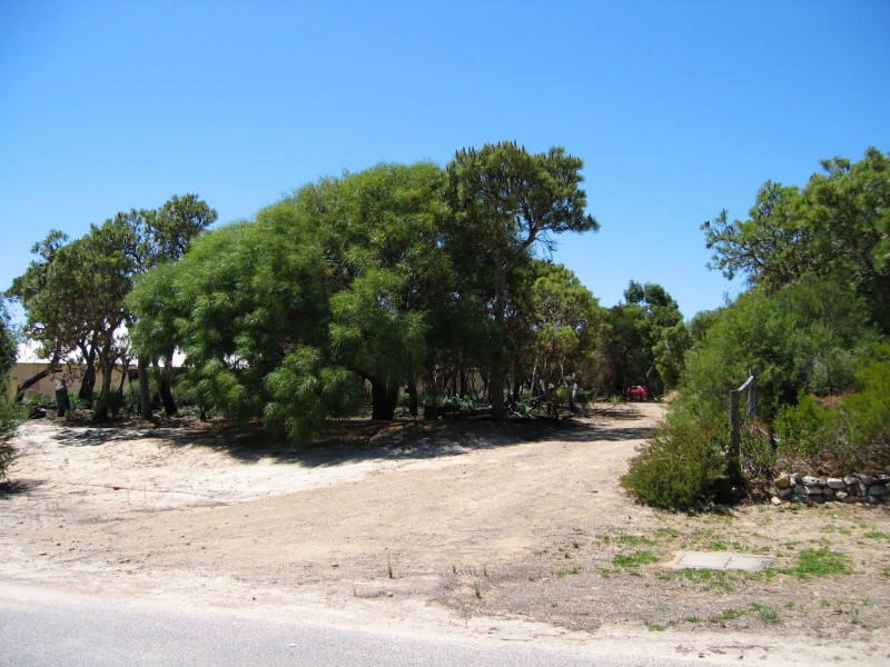 15 Silverton Crescent, Erskine WA 6210