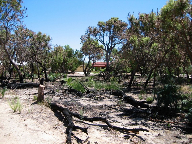 15 Silverton Crescent, Erskine WA 6210