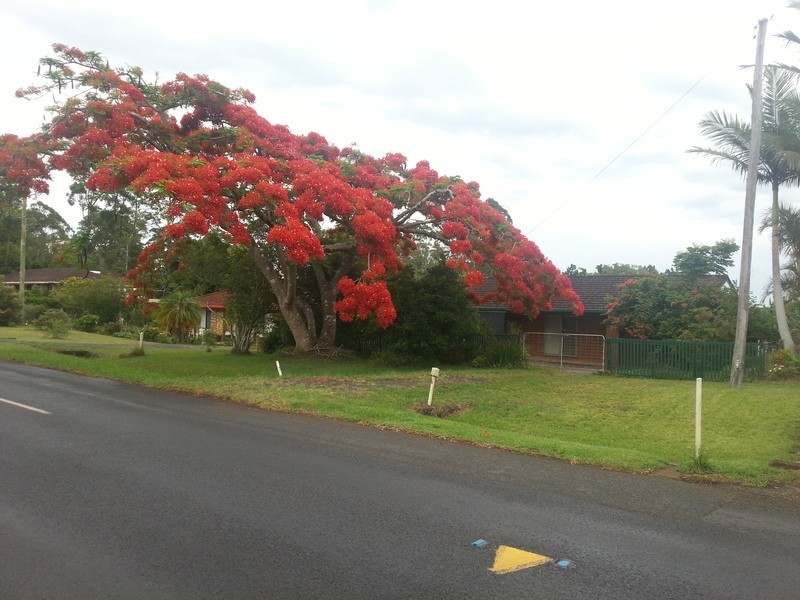 30 James Street, Dunoon NSW 2480