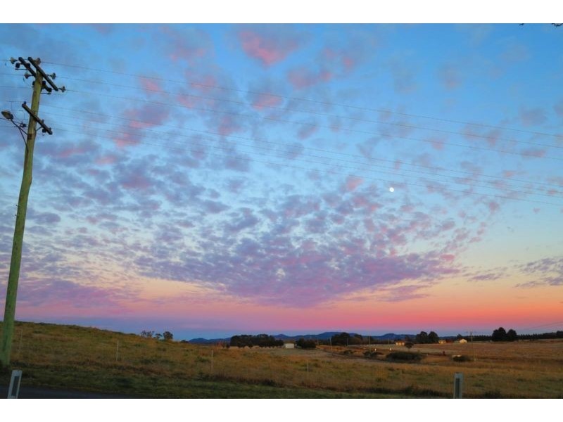 8 Carcoar Street, Spring Hill NSW 2800